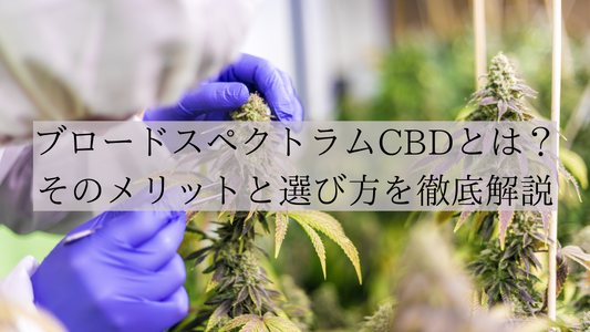 ブロードスペクトラムCBDとは? | その特徴と選び方を徹底解説