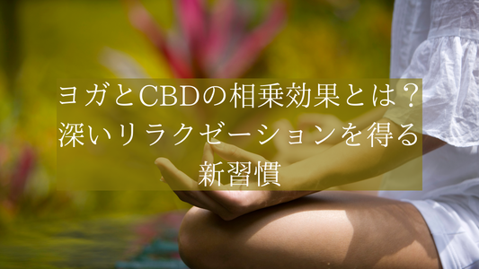 ヨガとCBDの相乗効果とは?深いリラクゼーションを得る新習慣