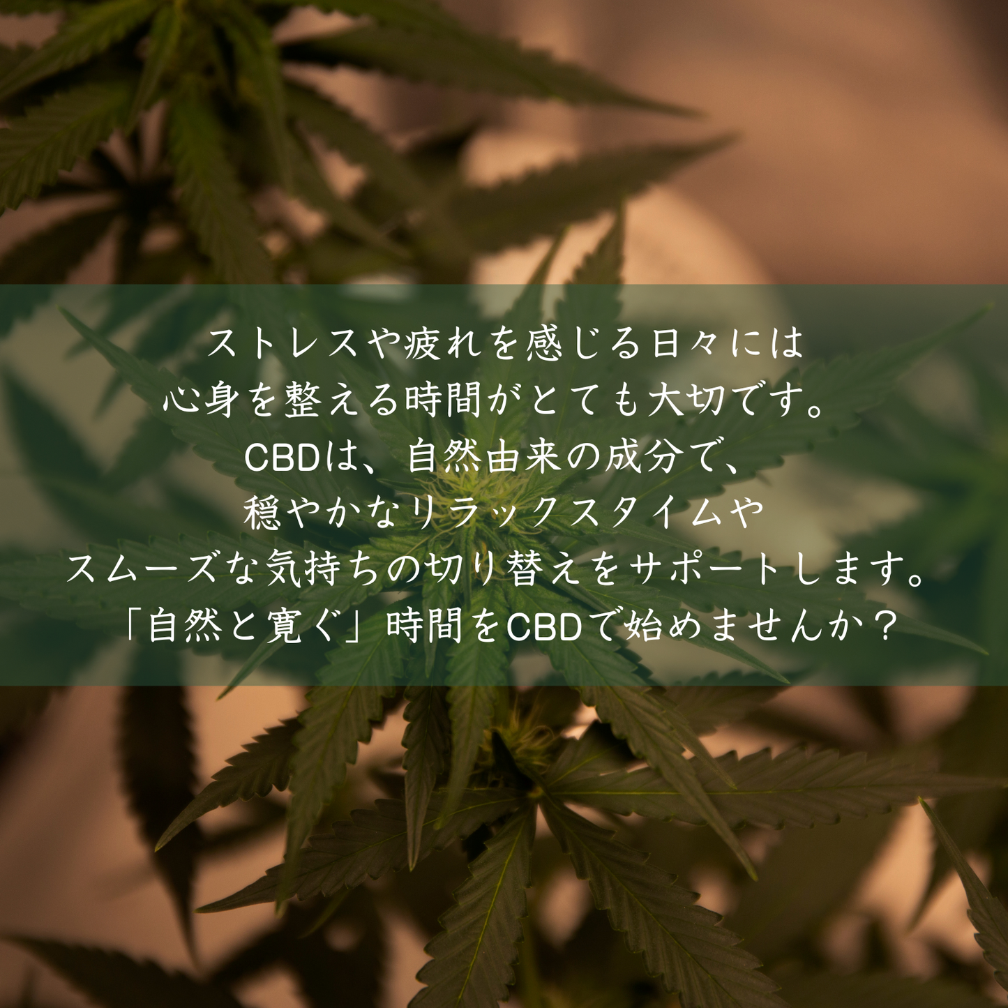 CBD効果 オーガニック ブロードスペクトラムCBDオイル15% ラベンダーレモン
