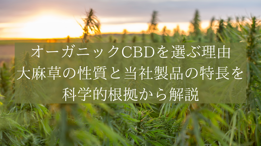 オーガニックCBDを選ぶ理由｜大麻草の性質と当社製品の特長を科学的根拠から解説