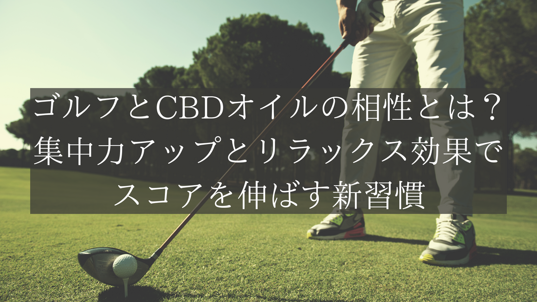 ゴルフとCBDオイルの相性とは？集中力アップとリラックス効果でスコアを伸ばす新習慣