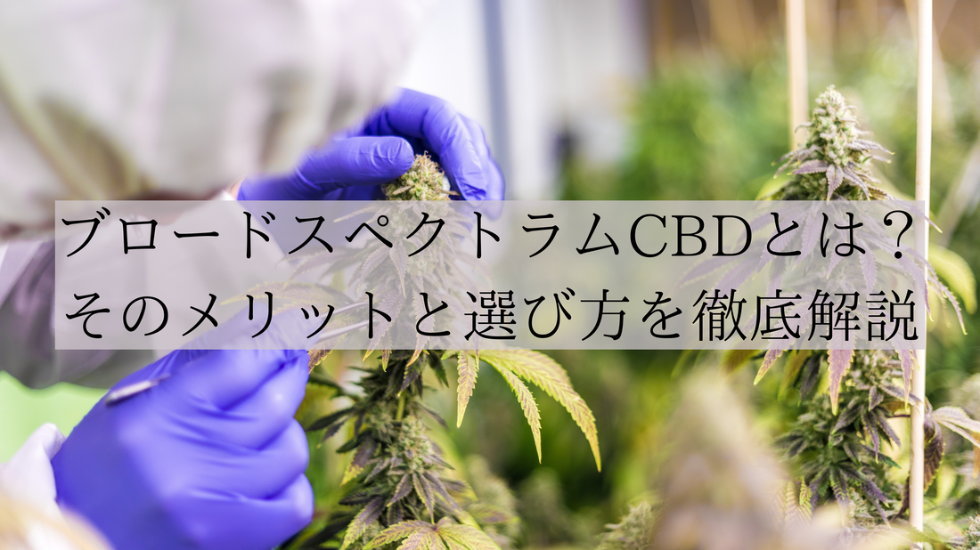 ブロードスペクトラムCBDとは？ | その特徴と選び方を徹底解説