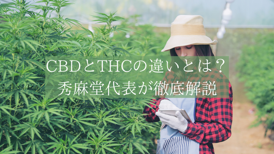 CBDとTHCの違いとは？｜秀麻堂代表が徹底解説